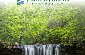 Partnering for Pennsylvania’s Parks: People First Teams Up with PA Parks and Forest Foundation